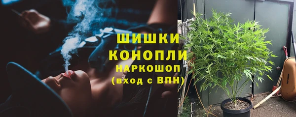 амф Володарск