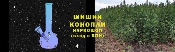 амф Володарск