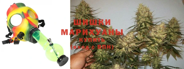 амф Володарск